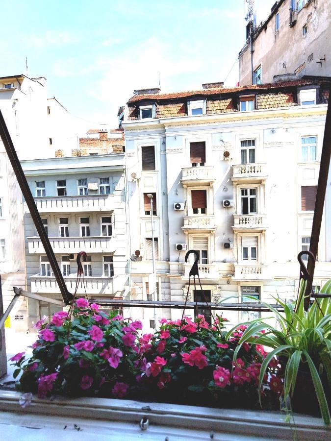 Monica'S House Belgrade Exterior photo
